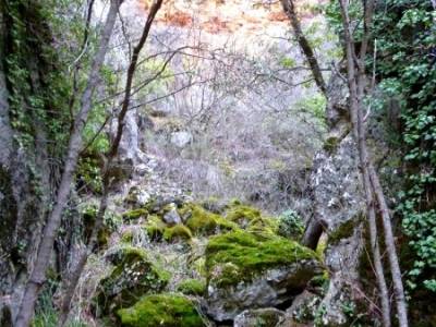 Hoces y cañones del Río Piedra y del Río Gallo -- Laguna Gallocanta; sendero rojo rutas por euska